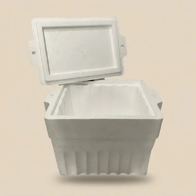 Mini Star Polyfoam Cooler Box