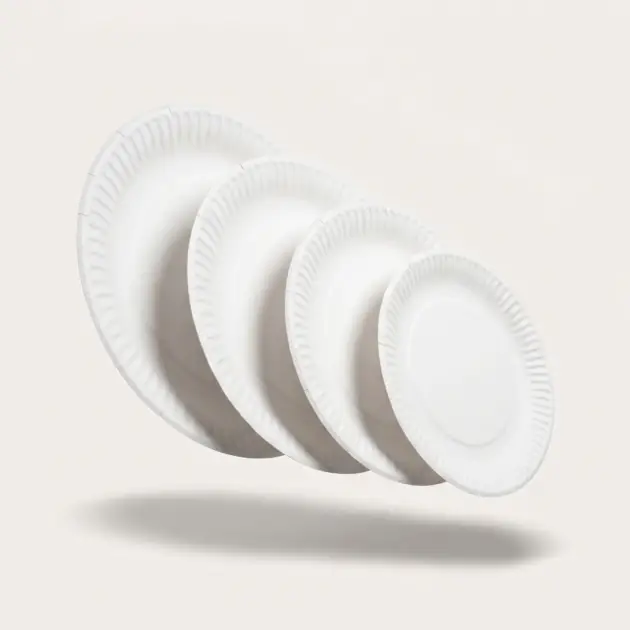 White Plain Paper Plate